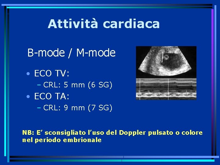 Attività cardiaca B-mode / M-mode • ECO TV: – CRL: 5 mm (6 SG)