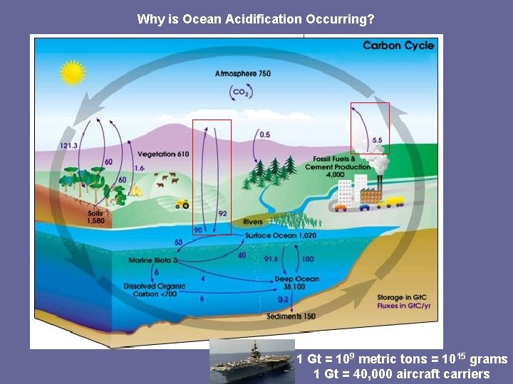 Why is Ocean Acidification Occurring? 1 Gt = 109 metric tons = 1015 grams