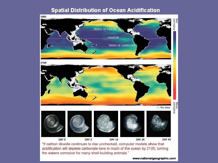 Spatial Distribution of Ocean Acidification 