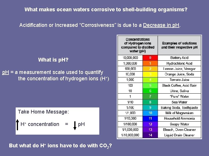 What makes ocean waters corrosive to shell-building organisms? Acidification or Increased “Corrosiveness” is due