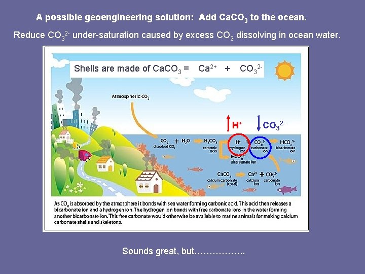 A possible geoengineering solution: Add Ca. CO 3 to the ocean. Reduce CO 32