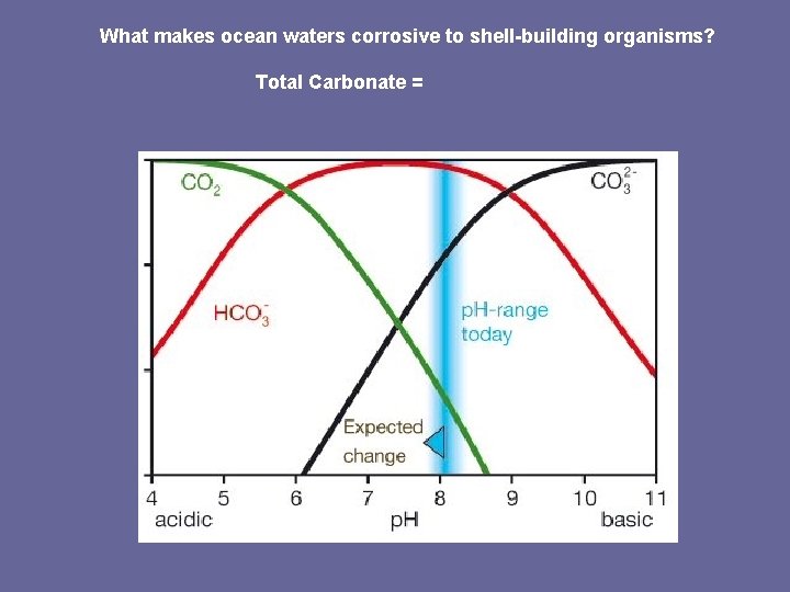 What makes ocean waters corrosive to shell-building organisms? Total Carbonate = 