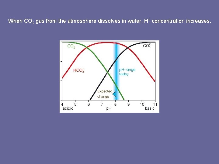 When CO 2 gas from the atmosphere dissolves in water, H+ concentration increases. 