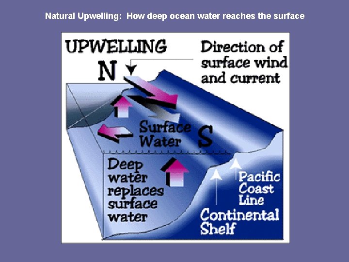 Natural Upwelling: How deep ocean water reaches the surface 