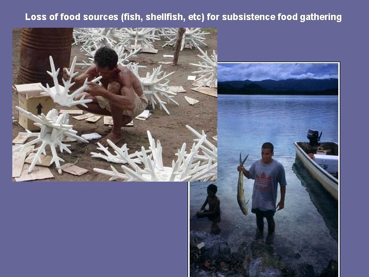 Loss of food sources (fish, shellfish, etc) for subsistence food gathering 