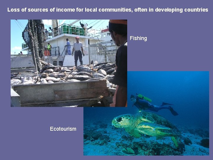 Loss of sources of income for local communities, often in developing countries Fishing Ecotourism