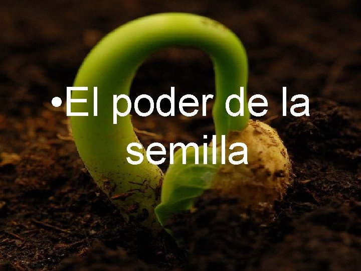 • El poder de la semilla • El poder de la semilla