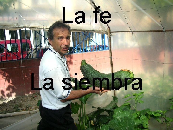 La fe La siembra La fe La siembra