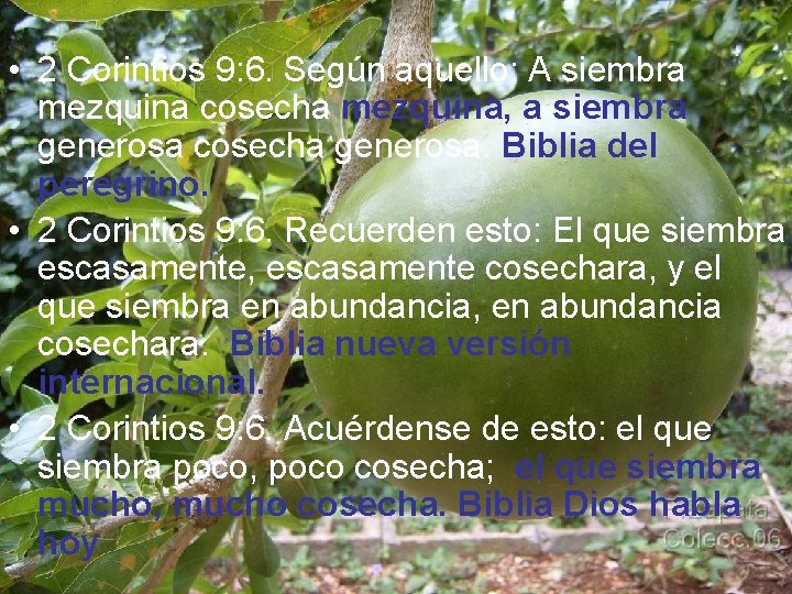 • 2 Corintios 9: 6. Según aquello: A siembra mezquina cosecha mezquina, a • 2 Corintios 9: 6. Según aquello: A siembra mezquina cosecha mezquina, a