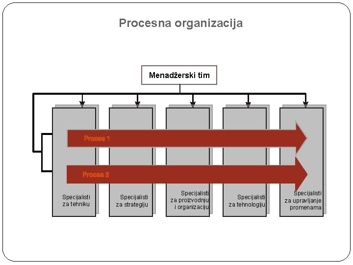 Procesna organizacija Menadžerski tim Specijalisti za tehniku Specijalisti za strategiju Specijalisti za proizvodnju i