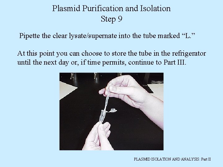 Plasmid Purification and Isolation Step 9 Pipette the clear lysate/supernate into the tube marked