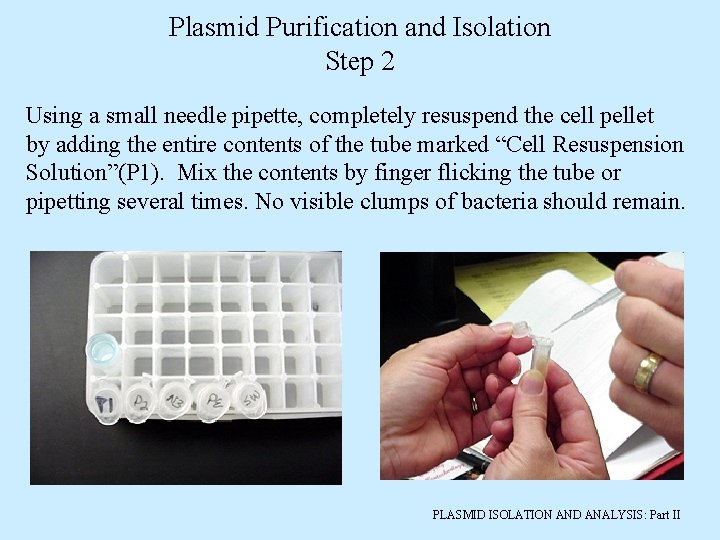 Plasmid Purification and Isolation Step 2 Using a small needle pipette, completely resuspend the