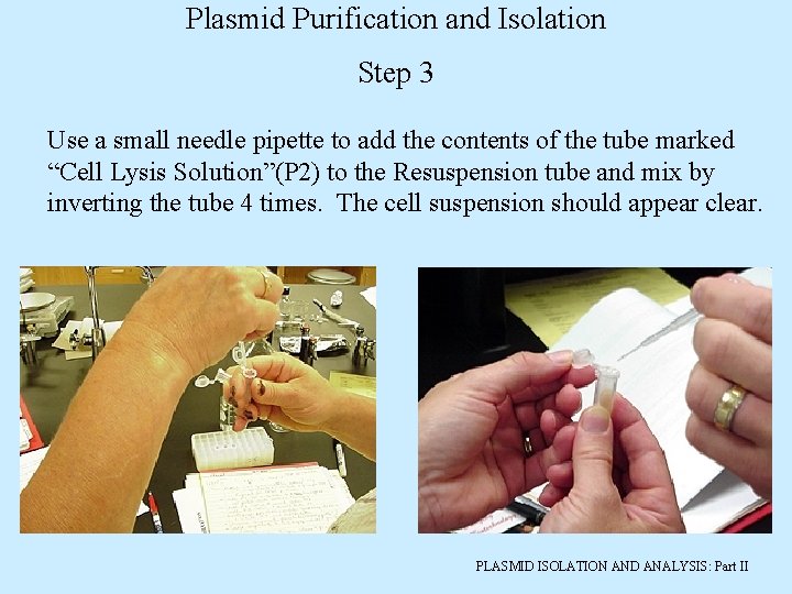 Plasmid Purification and Isolation Step 3 Use a small needle pipette to add the