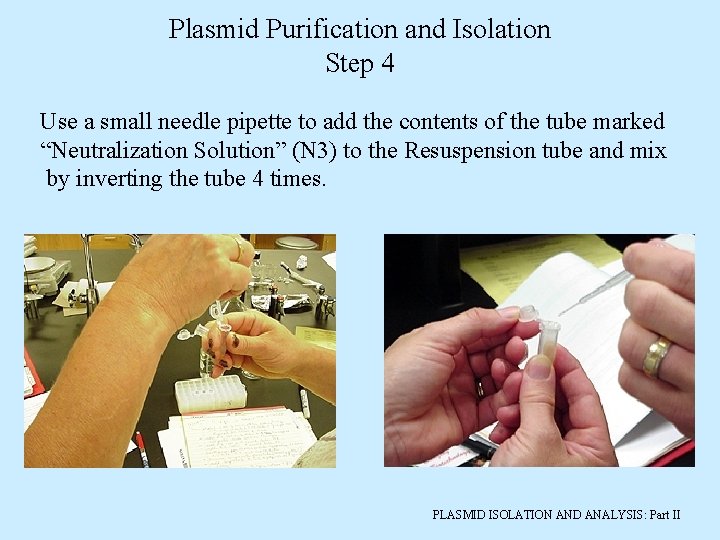 Plasmid Purification and Isolation Step 4 Use a small needle pipette to add the