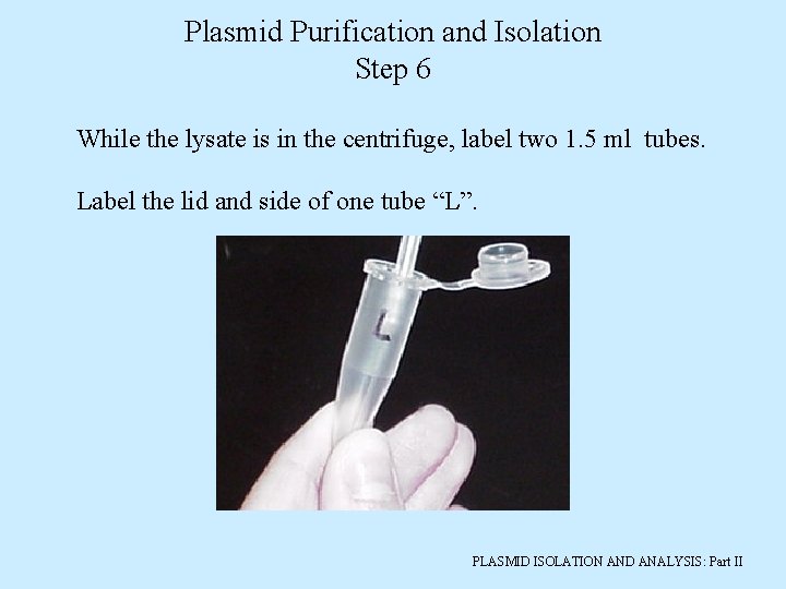 Plasmid Purification and Isolation Step 6 While the lysate is in the centrifuge, label