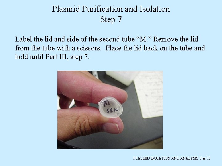 Plasmid Purification and Isolation Step 7 Label the lid and side of the second