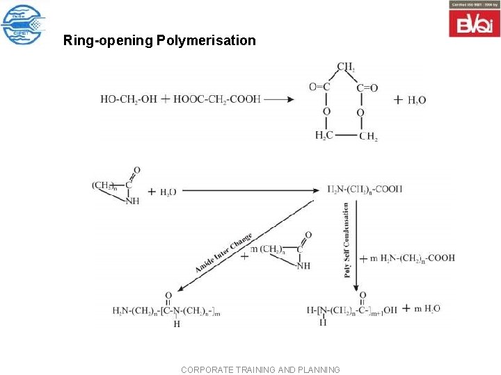Ring opening Polymerisation CORPORATE TRAINING AND PLANNING Ring opening Polymerisation CORPORATE TRAINING AND PLANNING