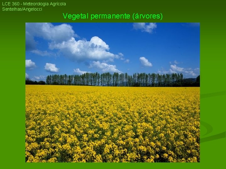LCE 360 - Meteorologia Agrícola Sentelhas/Angelocci Vegetal permanente (árvores) LCE 360 - Meteorologia Agrícola Sentelhas/Angelocci Vegetal permanente (árvores)