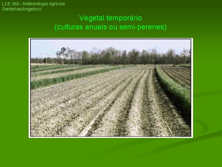 LCE 360 - Meteorologia Agrícola Sentelhas/Angelocci Vegetal temporário (culturas anuais ou semi-perenes) LCE 360 - Meteorologia Agrícola Sentelhas/Angelocci Vegetal temporário (culturas anuais ou semi-perenes)
