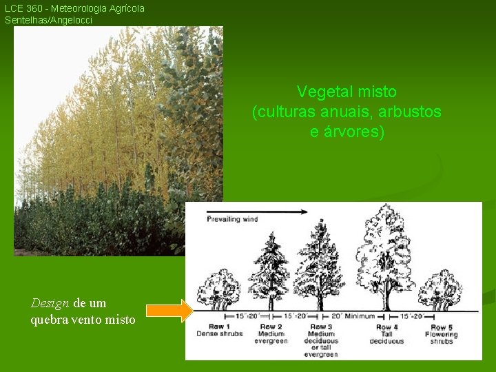 LCE 360 - Meteorologia Agrícola Sentelhas/Angelocci Vegetal misto (culturas anuais, arbustos e árvores) Design LCE 360 - Meteorologia Agrícola Sentelhas/Angelocci Vegetal misto (culturas anuais, arbustos e árvores) Design