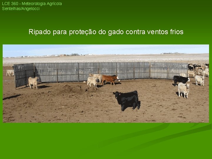 LCE 360 - Meteorologia Agrícola Sentelhas/Angelocci Ripado para proteção do gado contra ventos frios LCE 360 - Meteorologia Agrícola Sentelhas/Angelocci Ripado para proteção do gado contra ventos frios