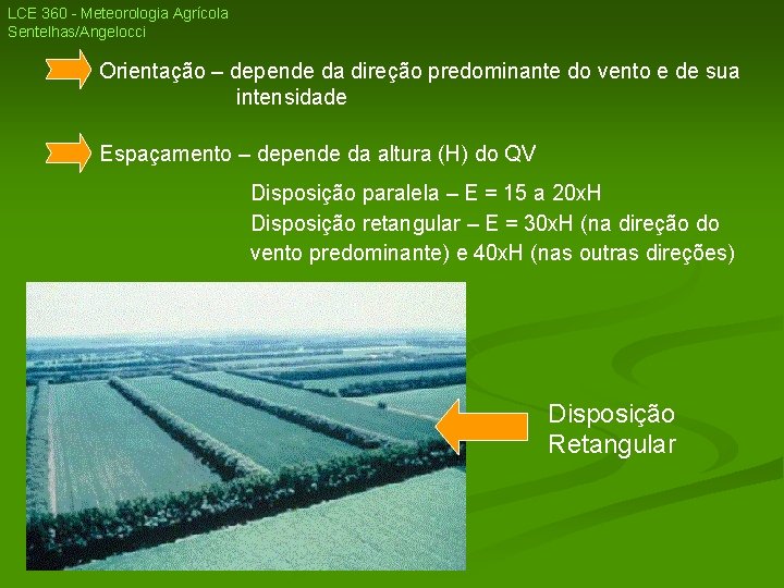 LCE 360 - Meteorologia Agrícola Sentelhas/Angelocci Orientação – depende da direção predominante do vento LCE 360 - Meteorologia Agrícola Sentelhas/Angelocci Orientação – depende da direção predominante do vento