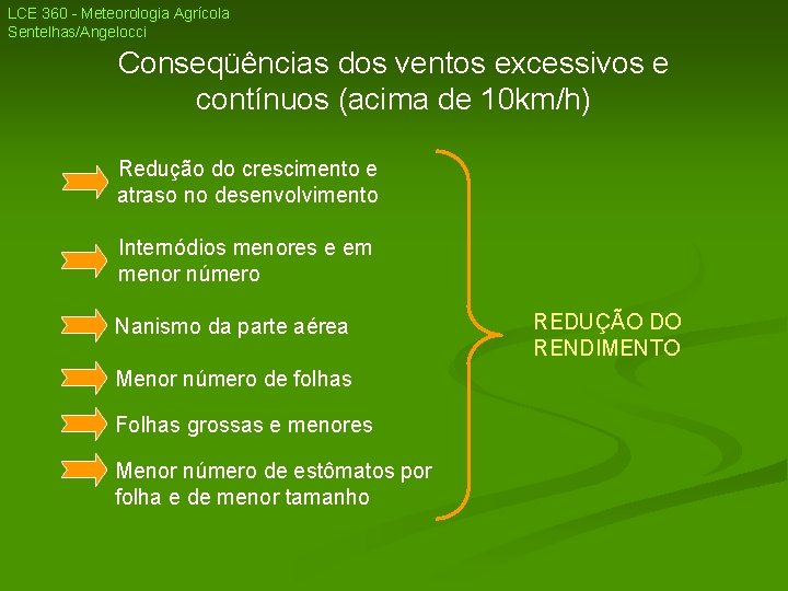 LCE 360 - Meteorologia Agrícola Sentelhas/Angelocci Conseqüências dos ventos excessivos e contínuos (acima de LCE 360 - Meteorologia Agrícola Sentelhas/Angelocci Conseqüências dos ventos excessivos e contínuos (acima de