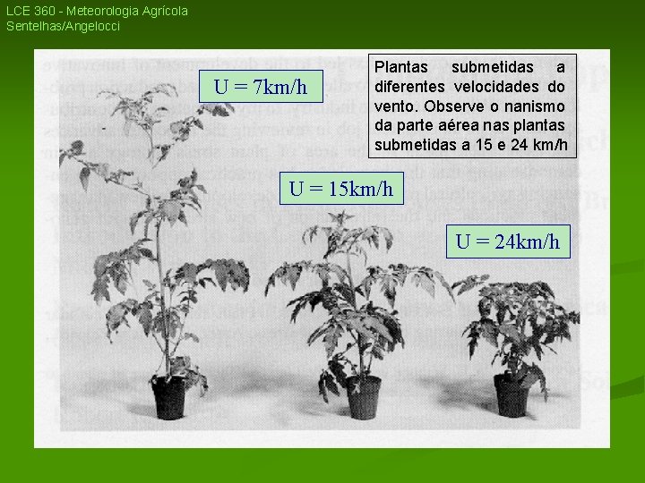 LCE 360 - Meteorologia Agrícola Sentelhas/Angelocci U = 7 km/h Plantas submetidas a diferentes LCE 360 - Meteorologia Agrícola Sentelhas/Angelocci U = 7 km/h Plantas submetidas a diferentes