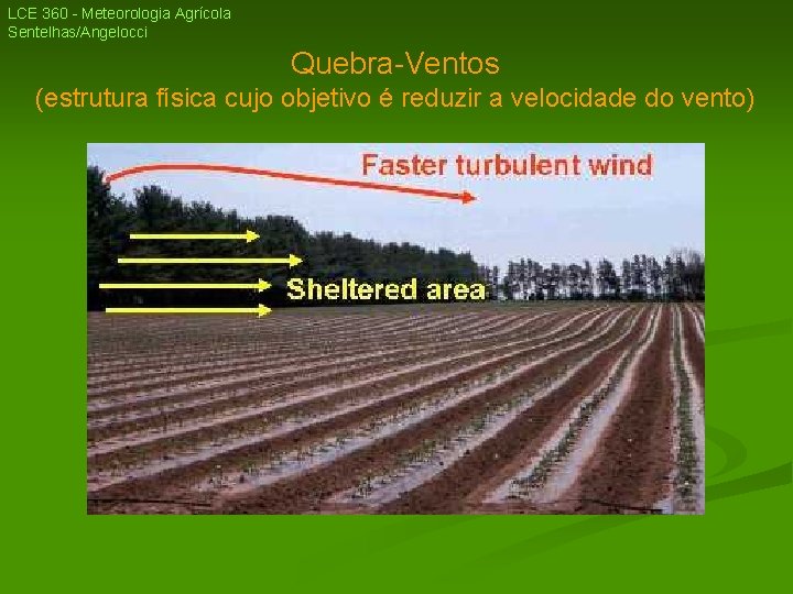 LCE 360 - Meteorologia Agrícola Sentelhas/Angelocci Quebra-Ventos (estrutura física cujo objetivo é reduzir a LCE 360 - Meteorologia Agrícola Sentelhas/Angelocci Quebra-Ventos (estrutura física cujo objetivo é reduzir a
