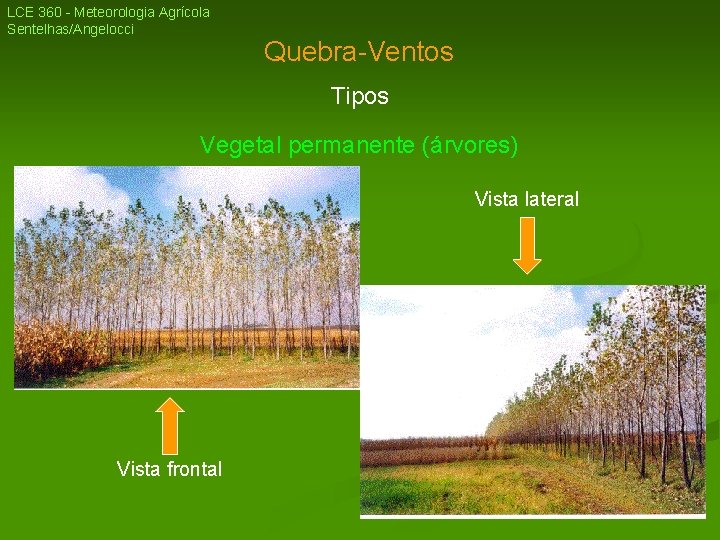 LCE 360 - Meteorologia Agrícola Sentelhas/Angelocci Quebra-Ventos Tipos Vegetal permanente (árvores) Vista lateral Vista LCE 360 - Meteorologia Agrícola Sentelhas/Angelocci Quebra-Ventos Tipos Vegetal permanente (árvores) Vista lateral Vista