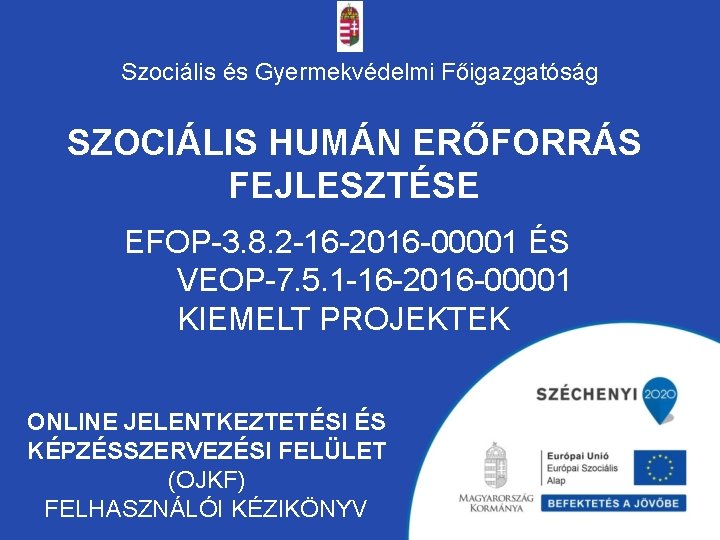 Szociális és Gyermekvédelmi Főigazgatóság SZOCIÁLIS HUMÁN ERŐFORRÁS FEJLESZTÉSE EFOP-3. 8. 2 -16 -2016 -00001