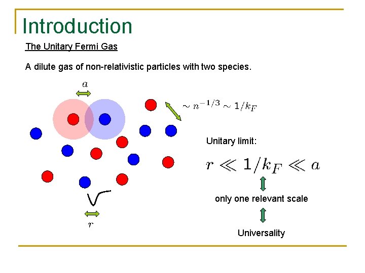 Introduction The Unitary Fermi Gas A dilute gas of non-relativistic particles with two species.