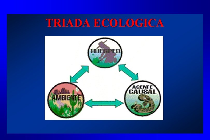 TRIADA ECOLOGICA 