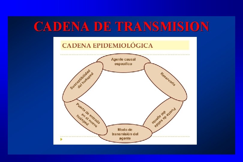 CADENA DE TRANSMISION 