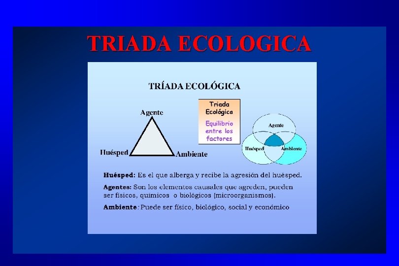 TRIADA ECOLOGICA 