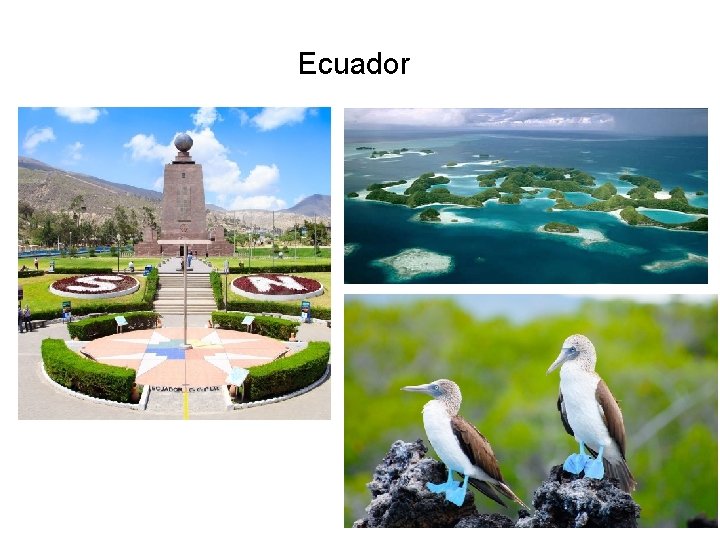 Ecuador 