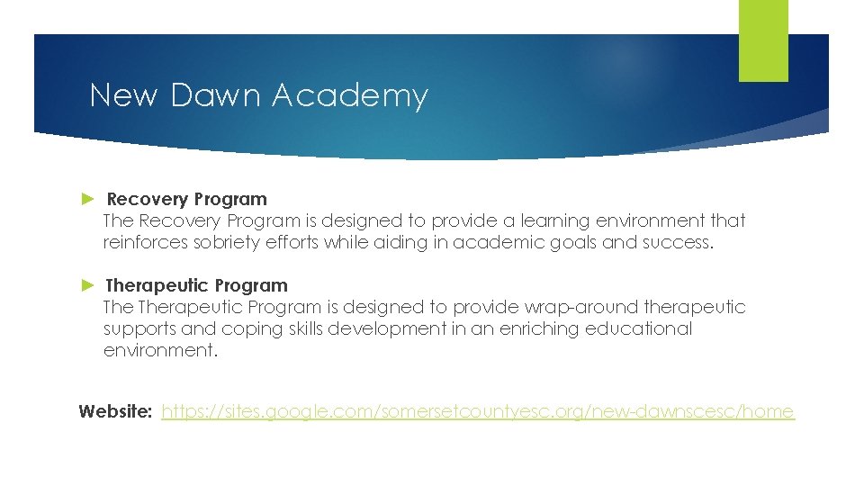 New Dawn Academy ► Recovery Program The Recovery Program is designed to provide a