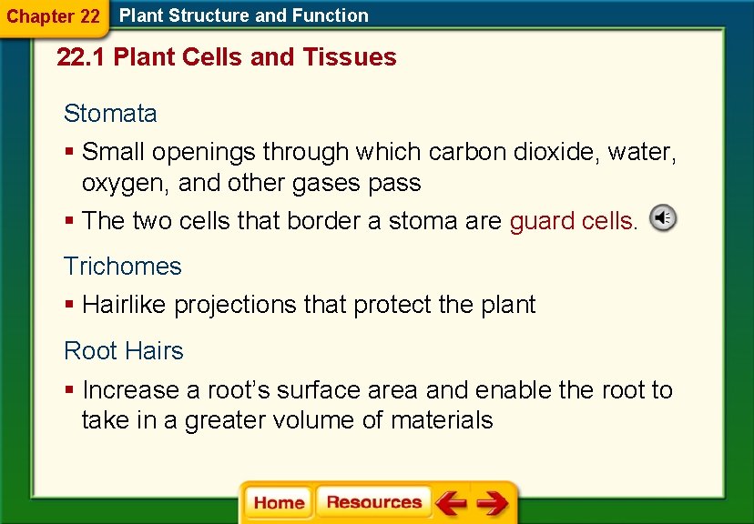 Chapter 22 Plant Structure and Function 22. 1 Plant Cells and Tissues Stomata §