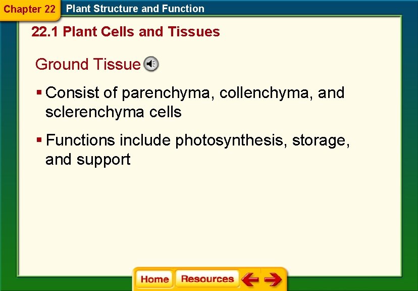 Chapter 22 Plant Structure and Function 22. 1 Plant Cells and Tissues Ground Tissue