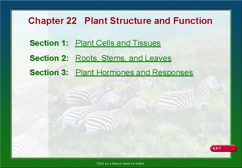 Chapter 22 Plant Structure and Function Section 1: Plant Cells and Tissues Section 2: