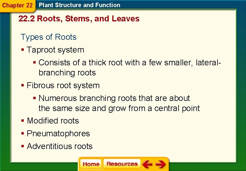 Chapter 22 Plant Structure and Function 22. 2 Roots, Stems, and Leaves Types of