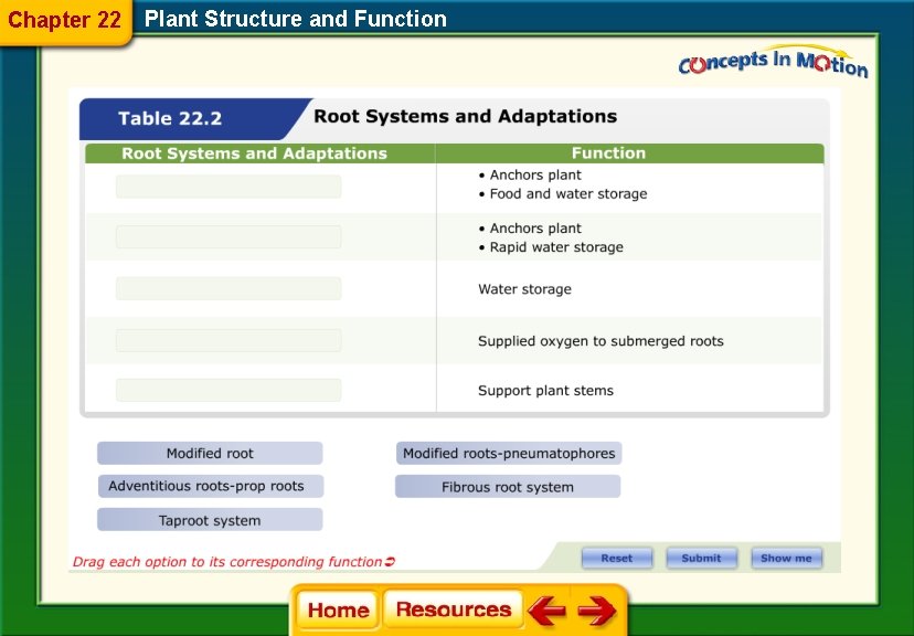 Chapter 22 Plant Structure and Function 