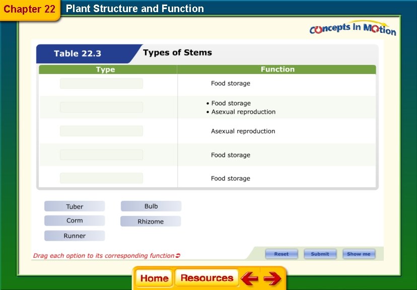 Chapter 22 Plant Structure and Function 