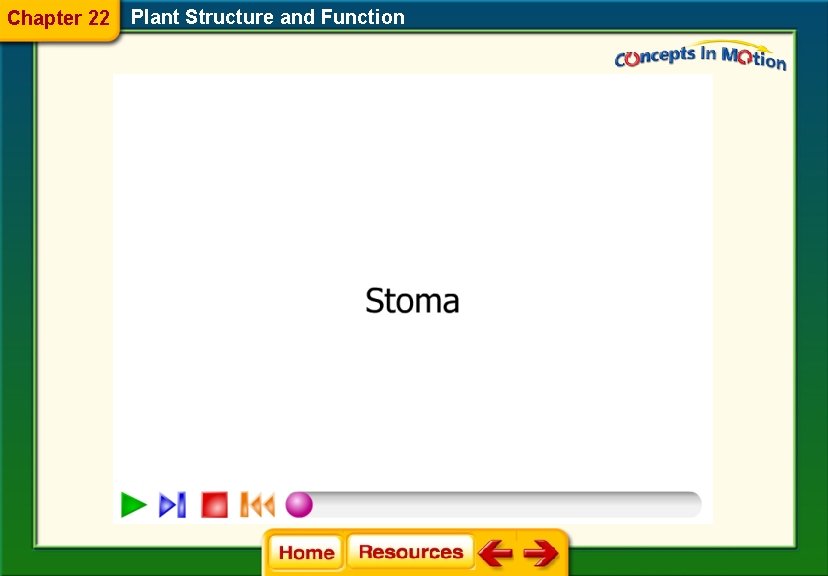 Chapter 22 Plant Structure and Function 