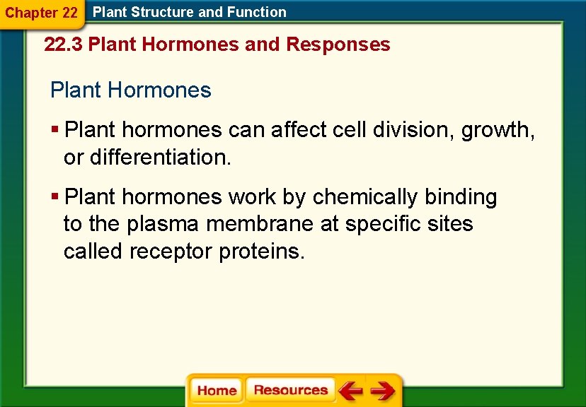 Chapter 22 Plant Structure and Function 22. 3 Plant Hormones and Responses Plant Hormones