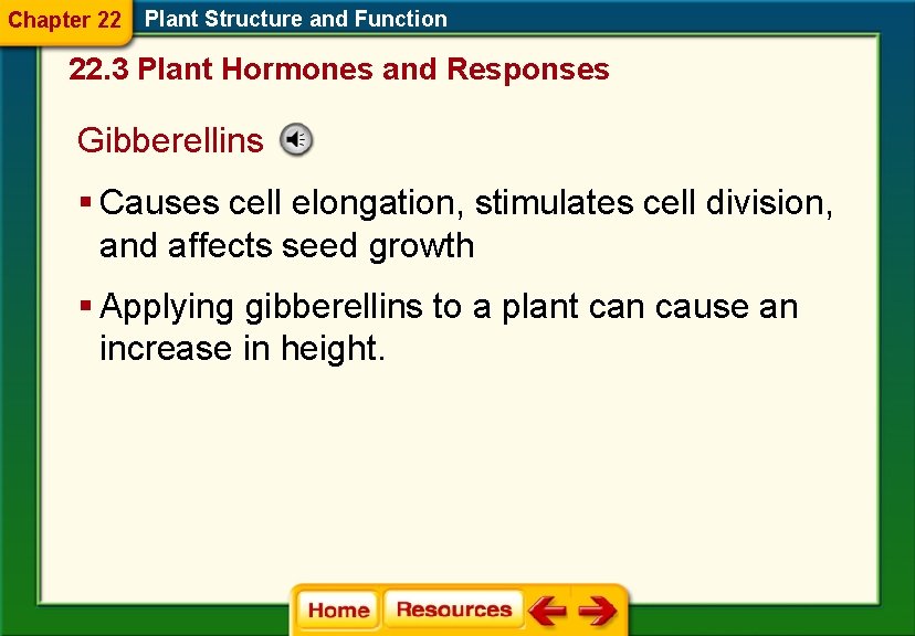 Chapter 22 Plant Structure and Function 22. 3 Plant Hormones and Responses Gibberellins §