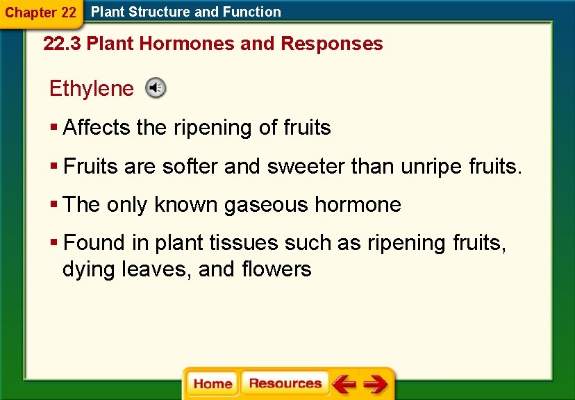 Chapter 22 Plant Structure and Function 22. 3 Plant Hormones and Responses Ethylene §