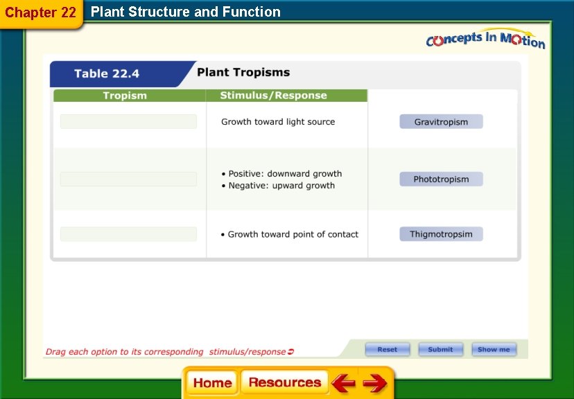 Chapter 22 Plant Structure and Function 