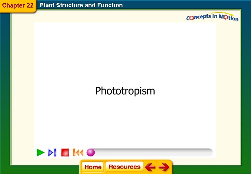 Chapter 22 Plant Structure and Function 