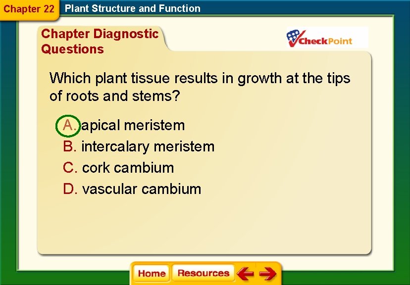 Chapter 22 Plant Structure and Function Chapter Diagnostic Questions Which plant tissue results in